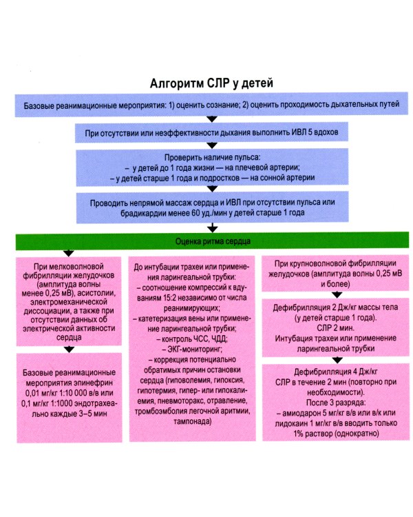 Лента экспресс-расчета дозировок и сердечно-легочной реанимации в педиатрии