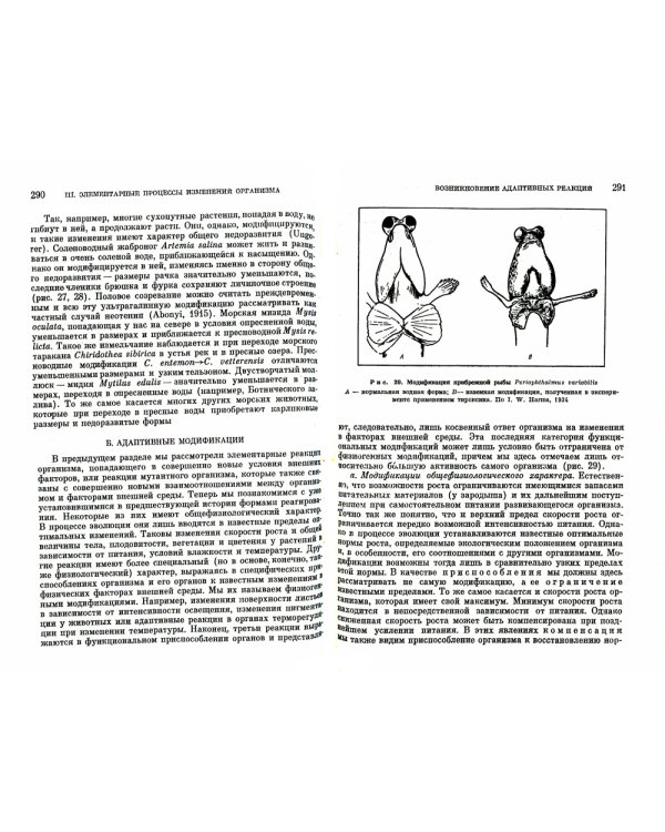 Факторы эволюции: Теория стабилизирующего отбора. 3-е изд