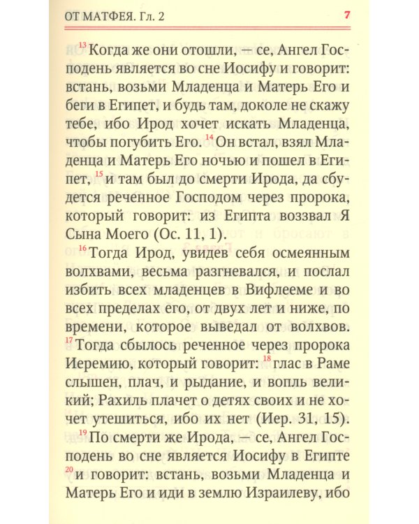 Святое Евангелие (кожаный переплет, золотой обрез)