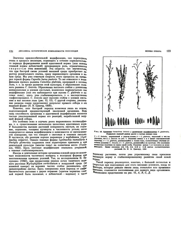 Факторы эволюции: Теория стабилизирующего отбора. 3-е изд