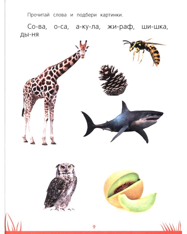 Энциклопедия дошкольника: 6-7 лет. 2-е изд