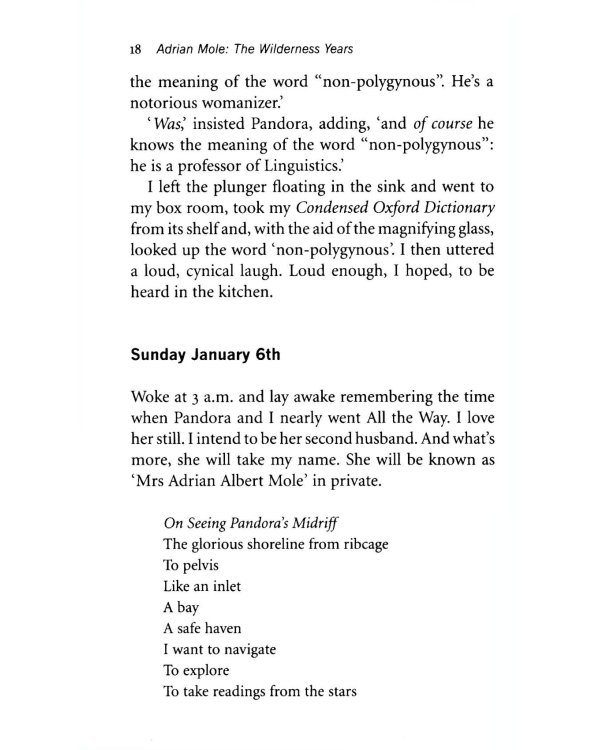 4. Adrian Mole. The Wilderness Years