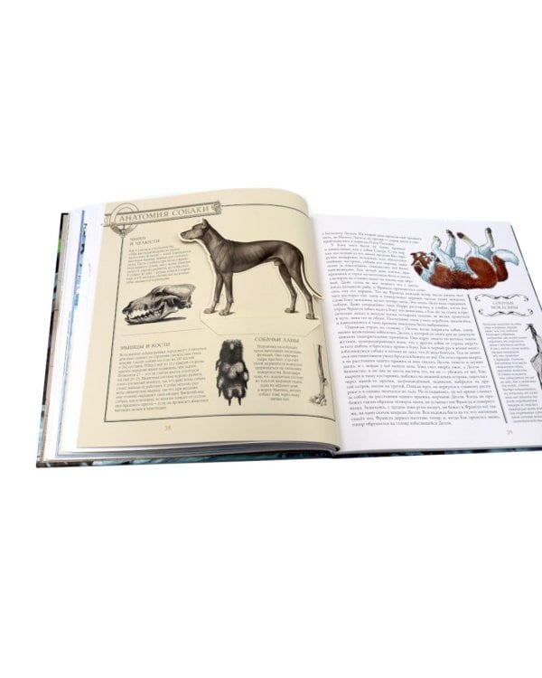 Зов предков