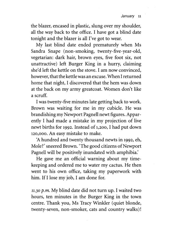 4. Adrian Mole. The Wilderness Years