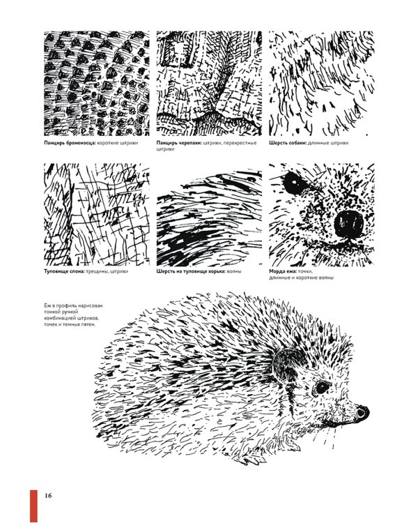 Рисуем животных ручками и маркерами: 26 реалистичных проектов