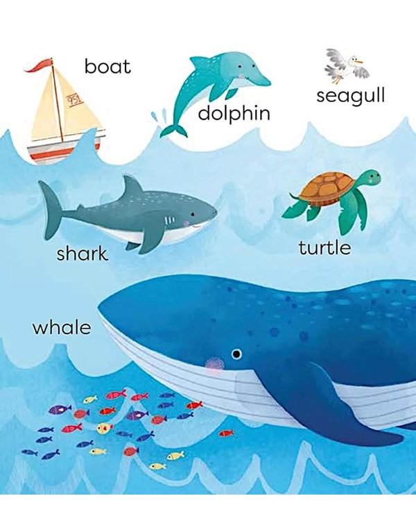 Usborne First Words Book