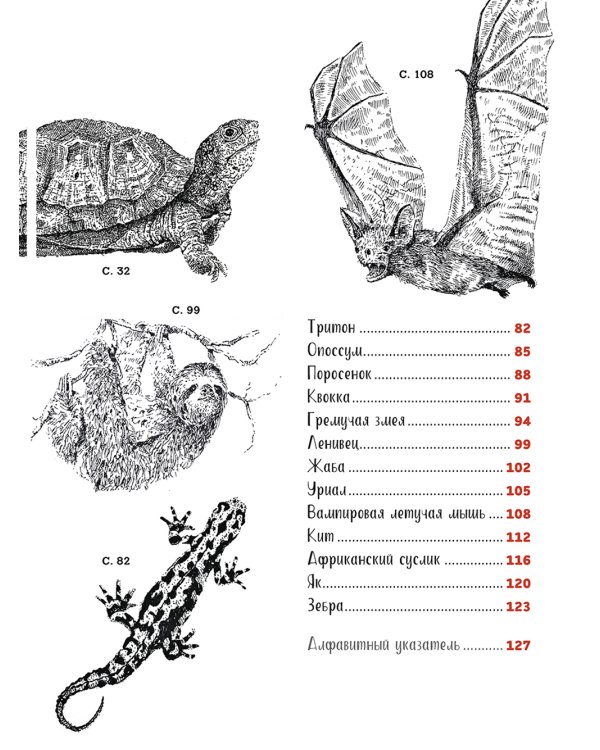 Рисуем животных ручками и маркерами: 26 реалистичных проектов