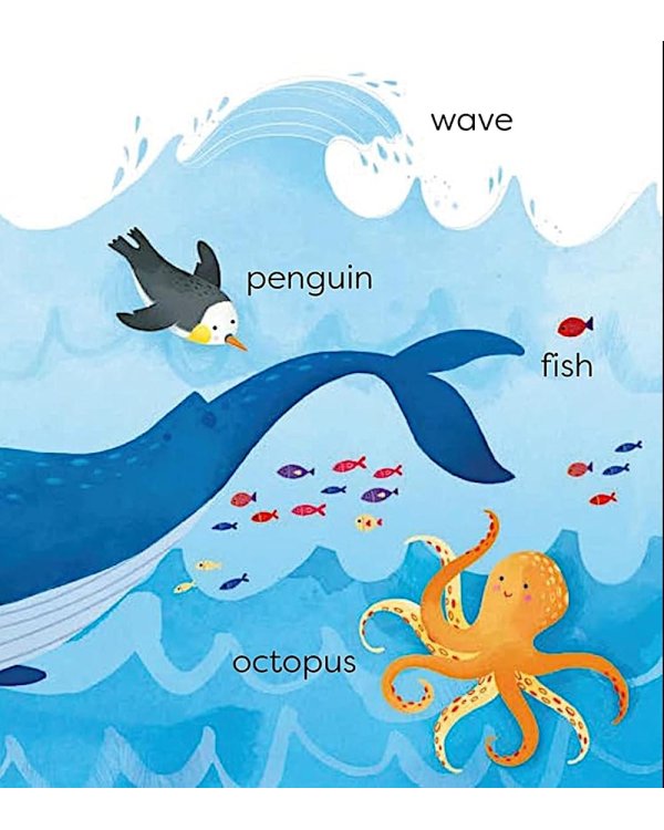 Usborne First Words Book