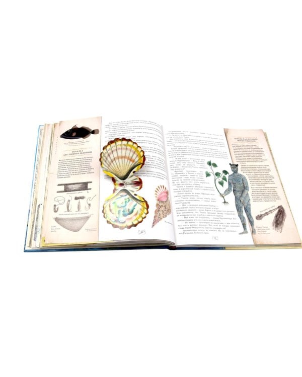 Капитан Крузенштерн (объемные картинки, клапанны внутри)