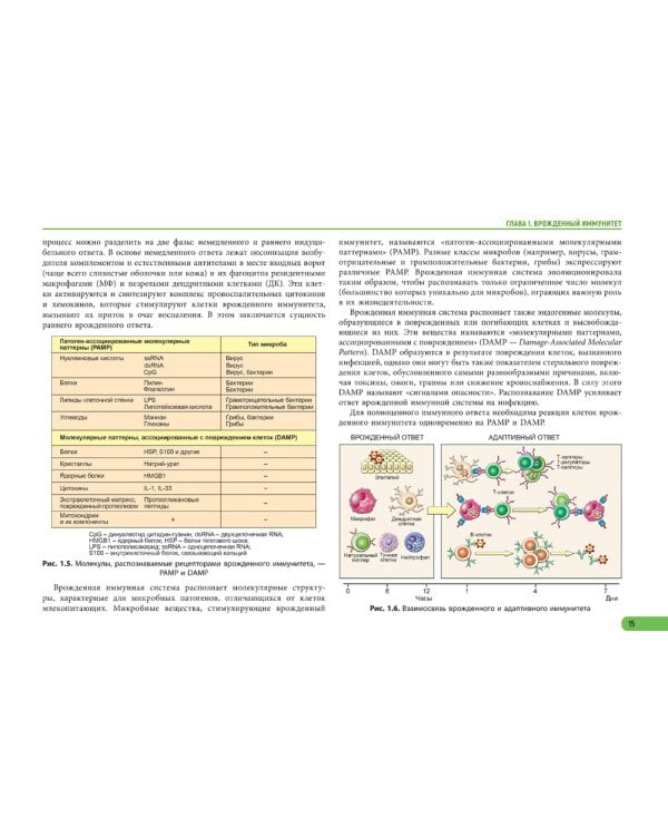 Иммунология. Атлас. 2-е изд., обновл