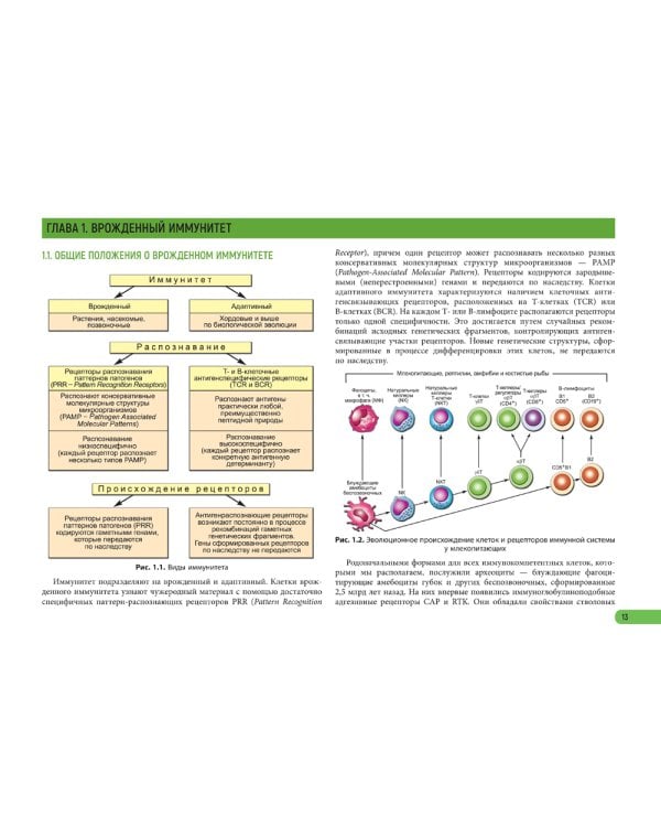 Иммунология. Атлас. 2-е изд., обновл