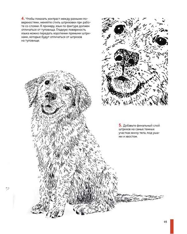 Рисуем животных ручками и маркерами: 26 реалистичных проектов