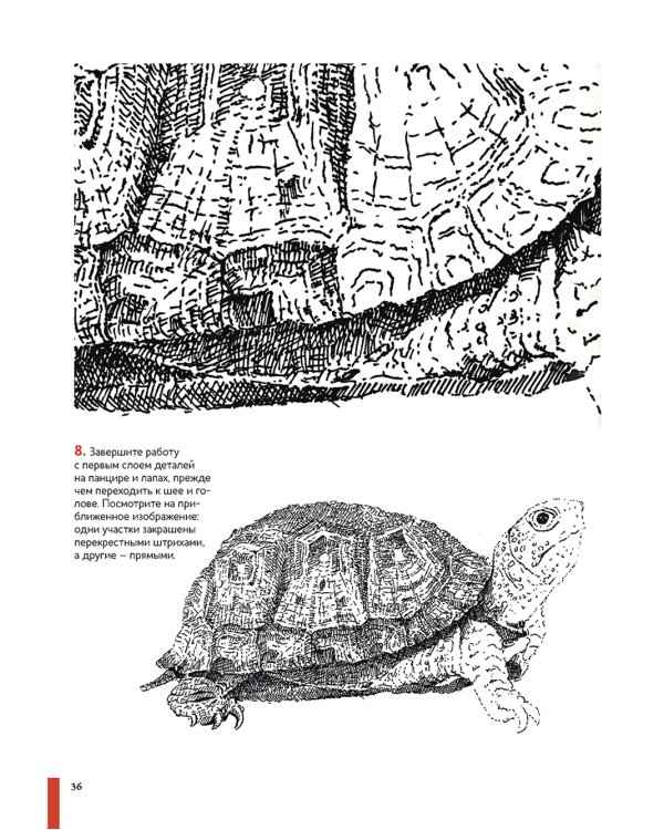 Рисуем животных ручками и маркерами: 26 реалистичных проектов