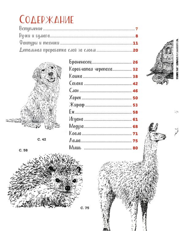 Рисуем животных ручками и маркерами: 26 реалистичных проектов