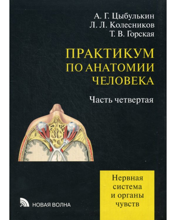 Практикум по анатомии человека: в 4 ч. Ч. 4: Нерная система и органы чувств