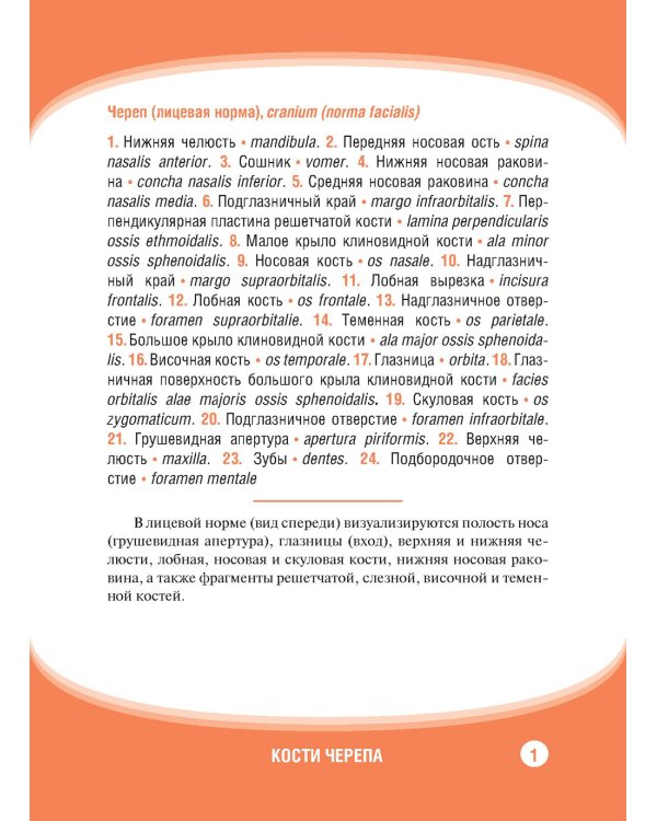 Анатомия человека. Кости черепа. Карточки + кольцо для стяжки карточек: наглядное учебное пособие