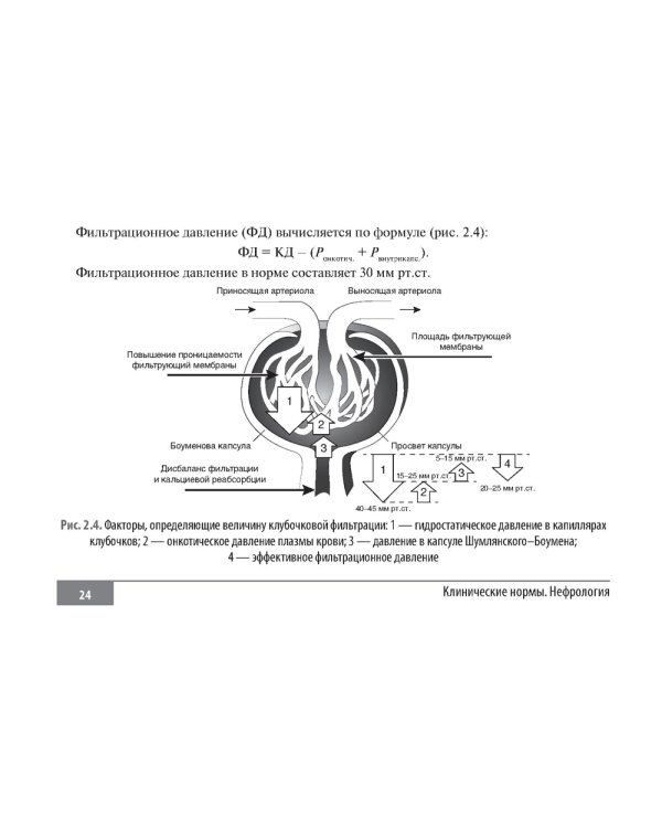 Клинические нормы. Нефрология