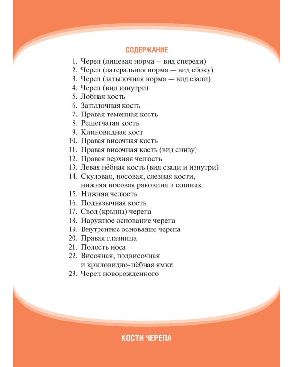 Анатомия человека. Кости черепа. Карточки + кольцо для стяжки карточек: наглядное учебное пособие