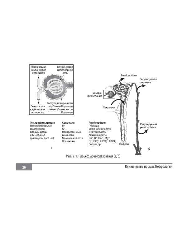 Клинические нормы. Нефрология