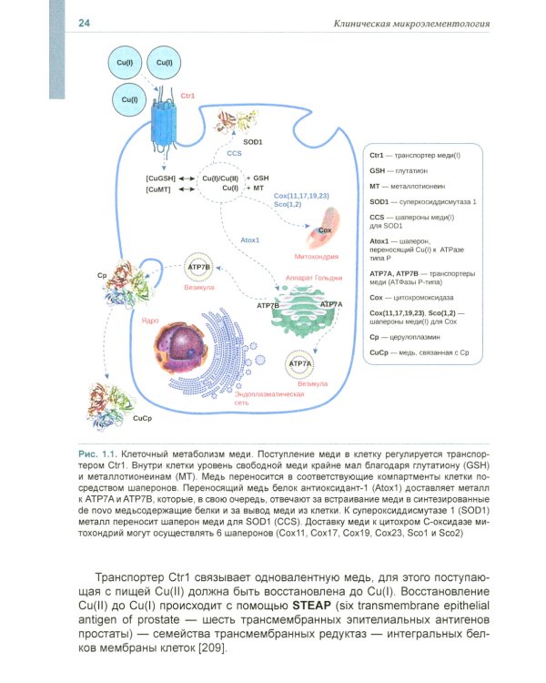 Клиническая микроэлементология