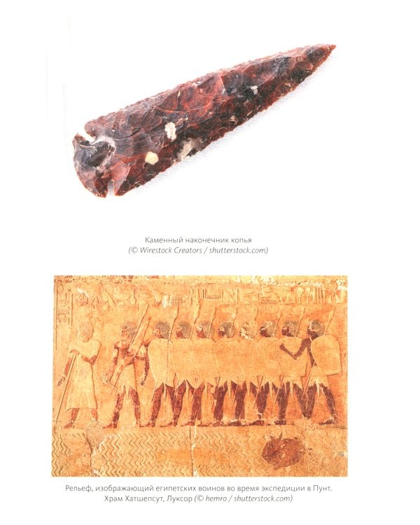 Иллюстрированная история оружия: С древнейших времен до начала XIX века