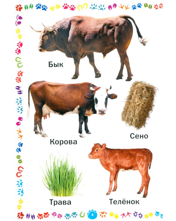 Животные и их детеныши. Книга для самых маленьких