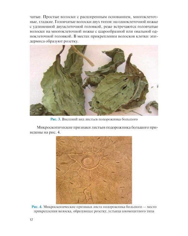 Фармакогнозия. Специальная часть: Учебное пособие