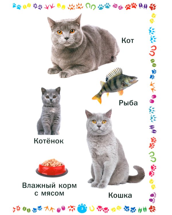 Животные и их детеныши. Книга для самых маленьких