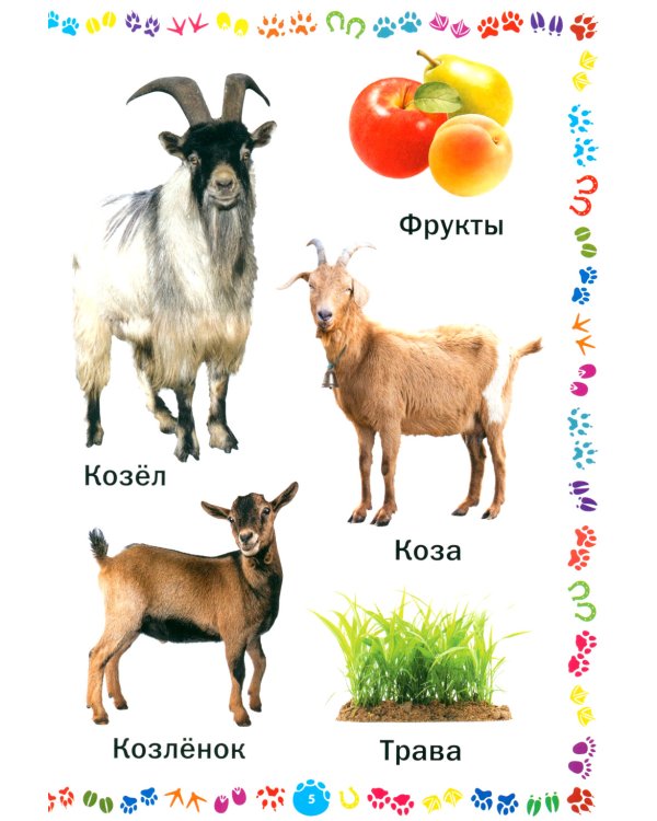 Животные и их детеныши. Книга для самых маленьких