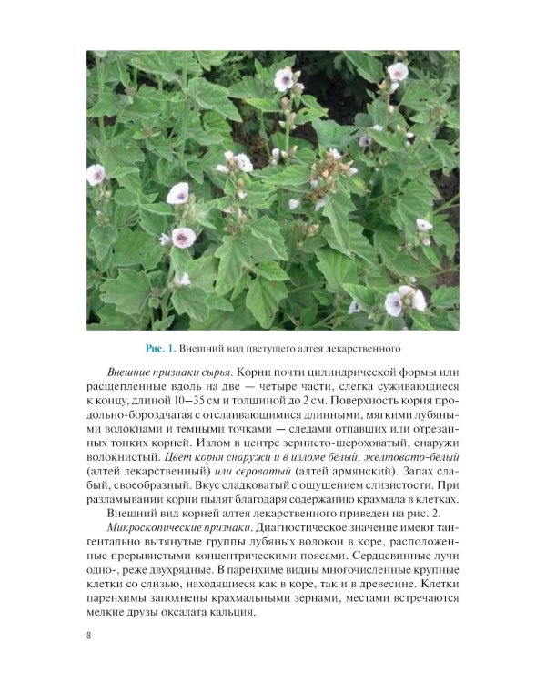 Фармакогнозия. Специальная часть: Учебное пособие