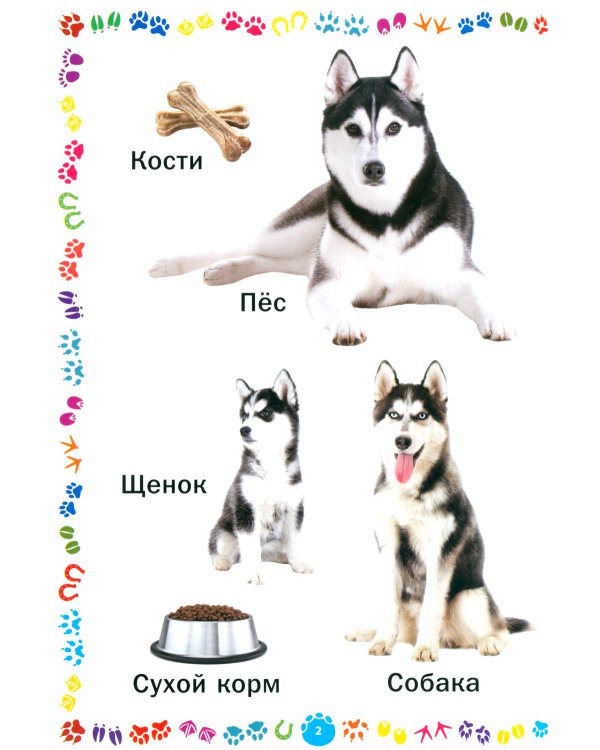 Животные и их детеныши. Книга для самых маленьких