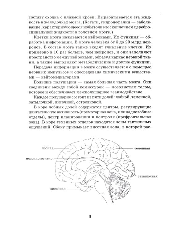 Игры и упражнения для профилактики и коррекции трудностей в обучении