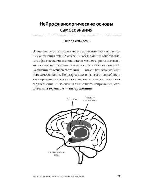 12 элементов эмоционального интеллекта: Как стать вдохновляющим лидером