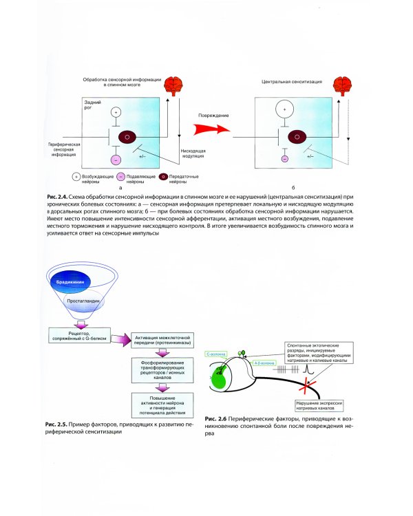 Основы медицины боли: руководство