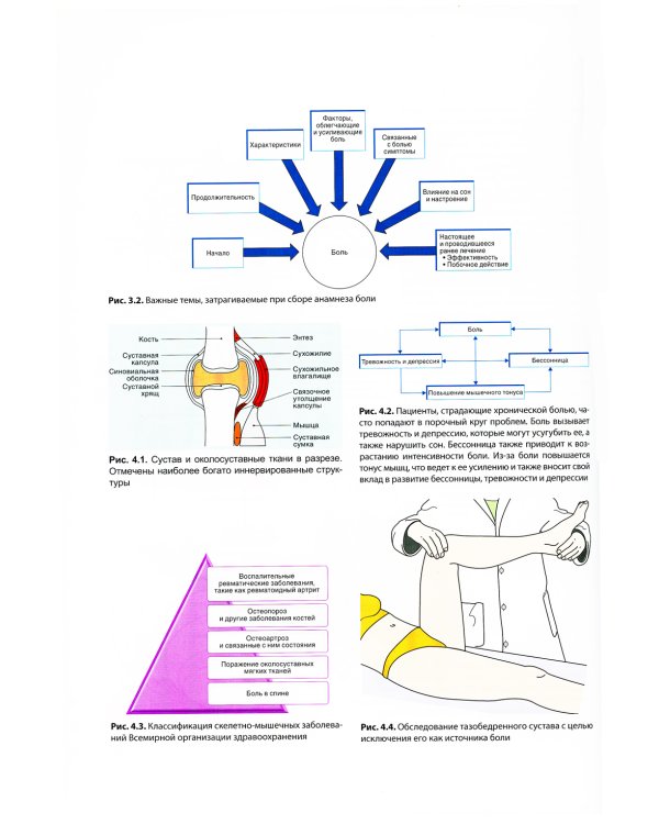 Основы медицины боли: руководство