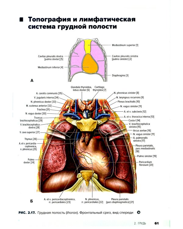 Атлас анатомии для стоматологов. В 2 т.Т. 1: Общая анатомия. Голова