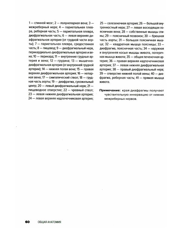 Атлас анатомии для стоматологов. В 2 т.Т. 1: Общая анатомия. Голова