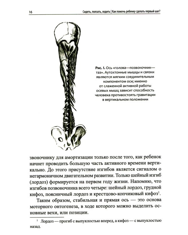 Сидеть, ползать, ходить: как помочь ребенку сделать первый шаг? Эволюция движения от 0 до года. 9-е изд