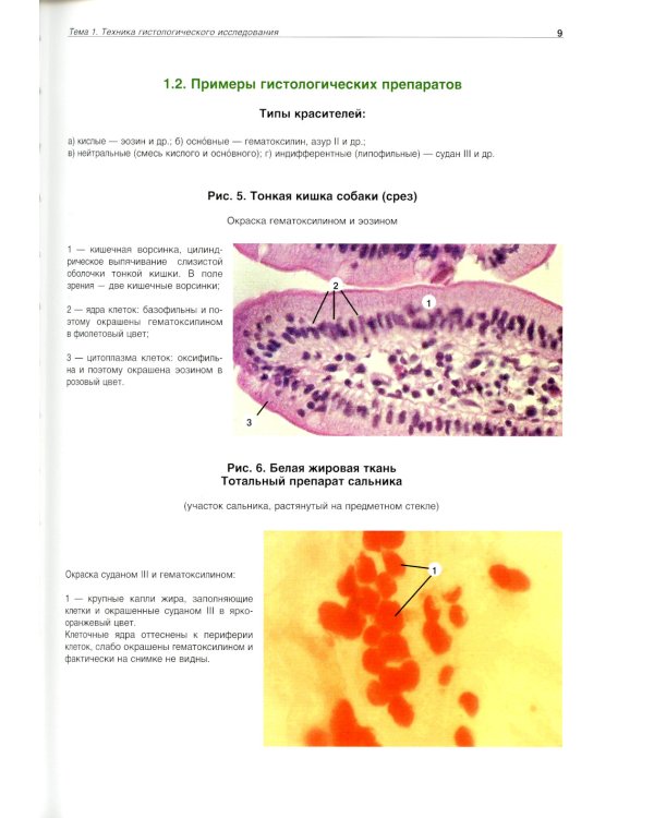 Атлас по гистологии, цитологии и эмбриологии. 3-е изд., дол. и перераб