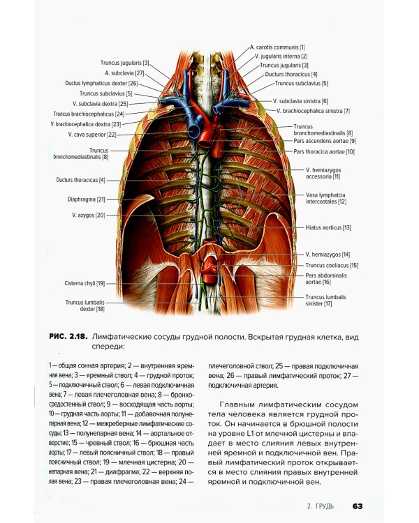 Атлас анатомии для стоматологов. В 2 т.Т. 1: Общая анатомия. Голова