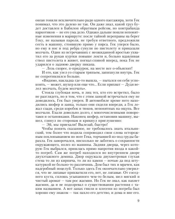 Кромешник: роман