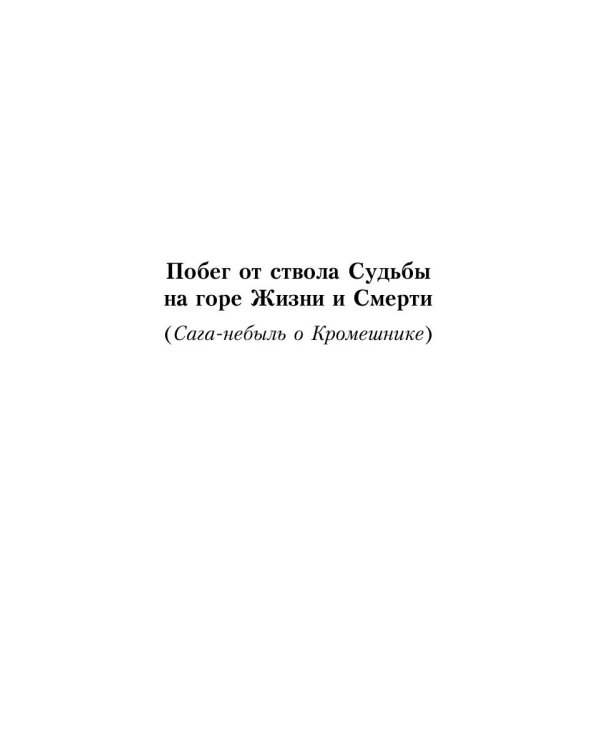 Кромешник: роман