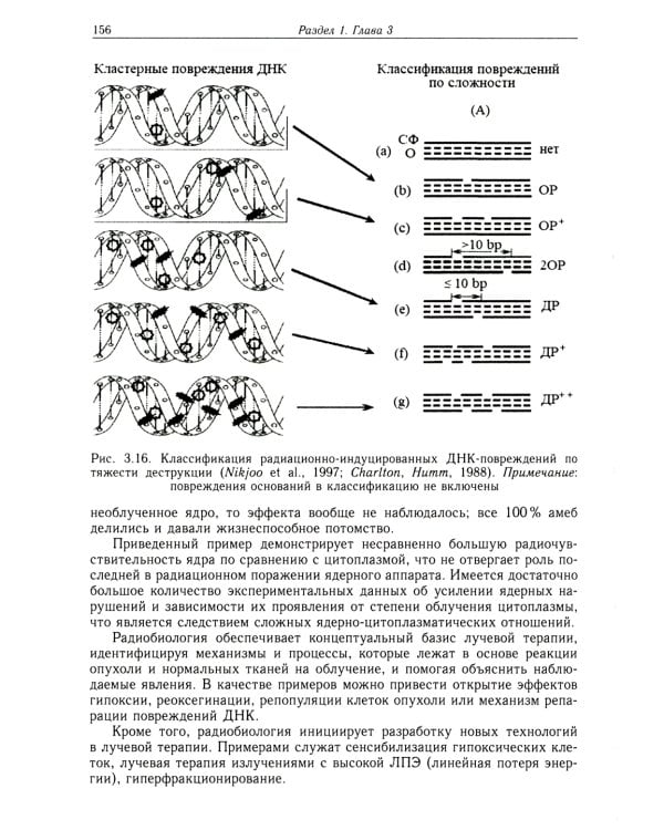 Радиационная медицинская физика: Учебник