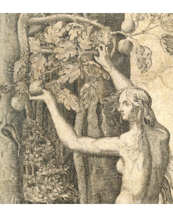 Драконы: великие и ужасные