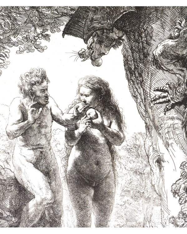 Драконы: великие и ужасные