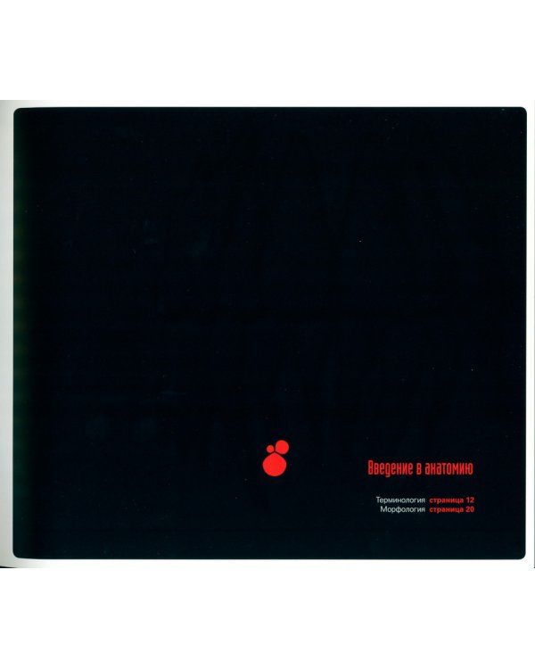 Руководство по адгезивной стоматологии. Ключевые аспекты успешной реставрации зубов