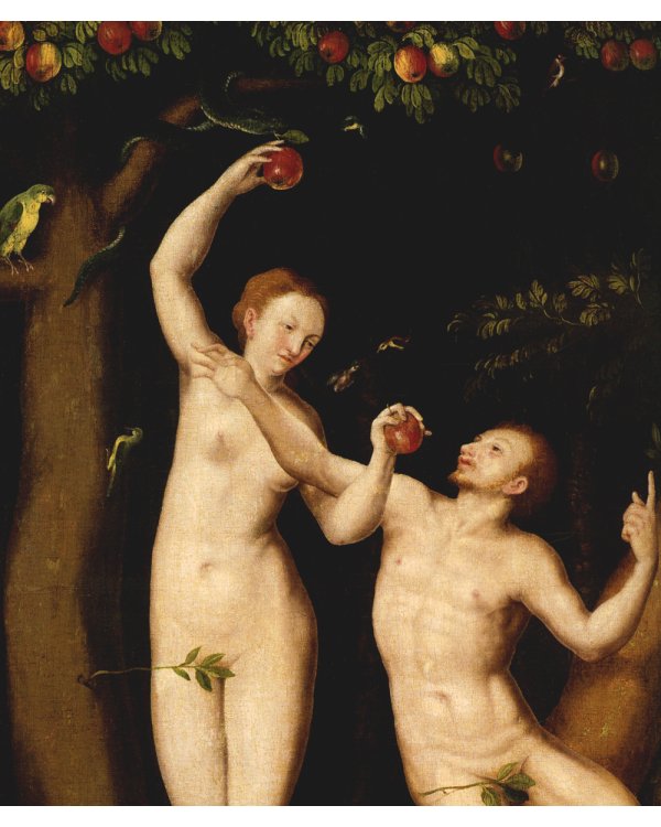 Драконы: великие и ужасные