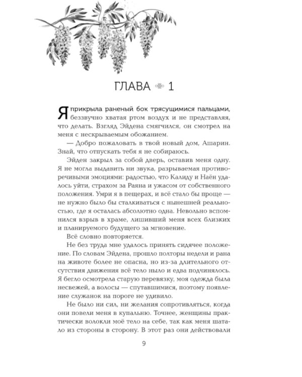 Двойник Запада; Пятый Дракон (комплект из 2-х книг)