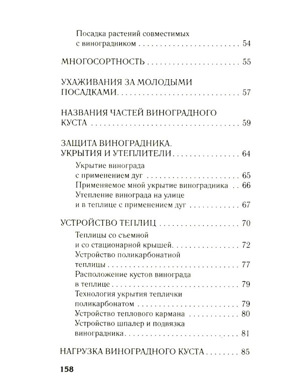 Виноград в любом уголке России. Проверенная и эффективная методика выращивания капризной ягоды