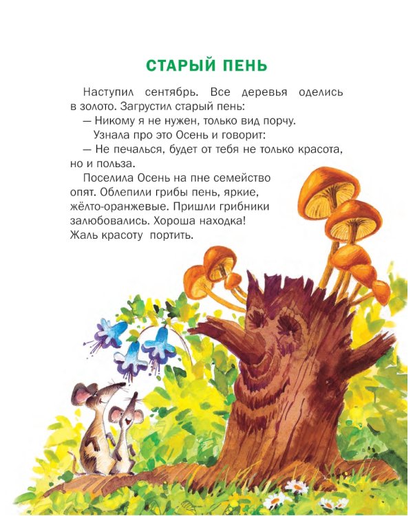 Познавайка